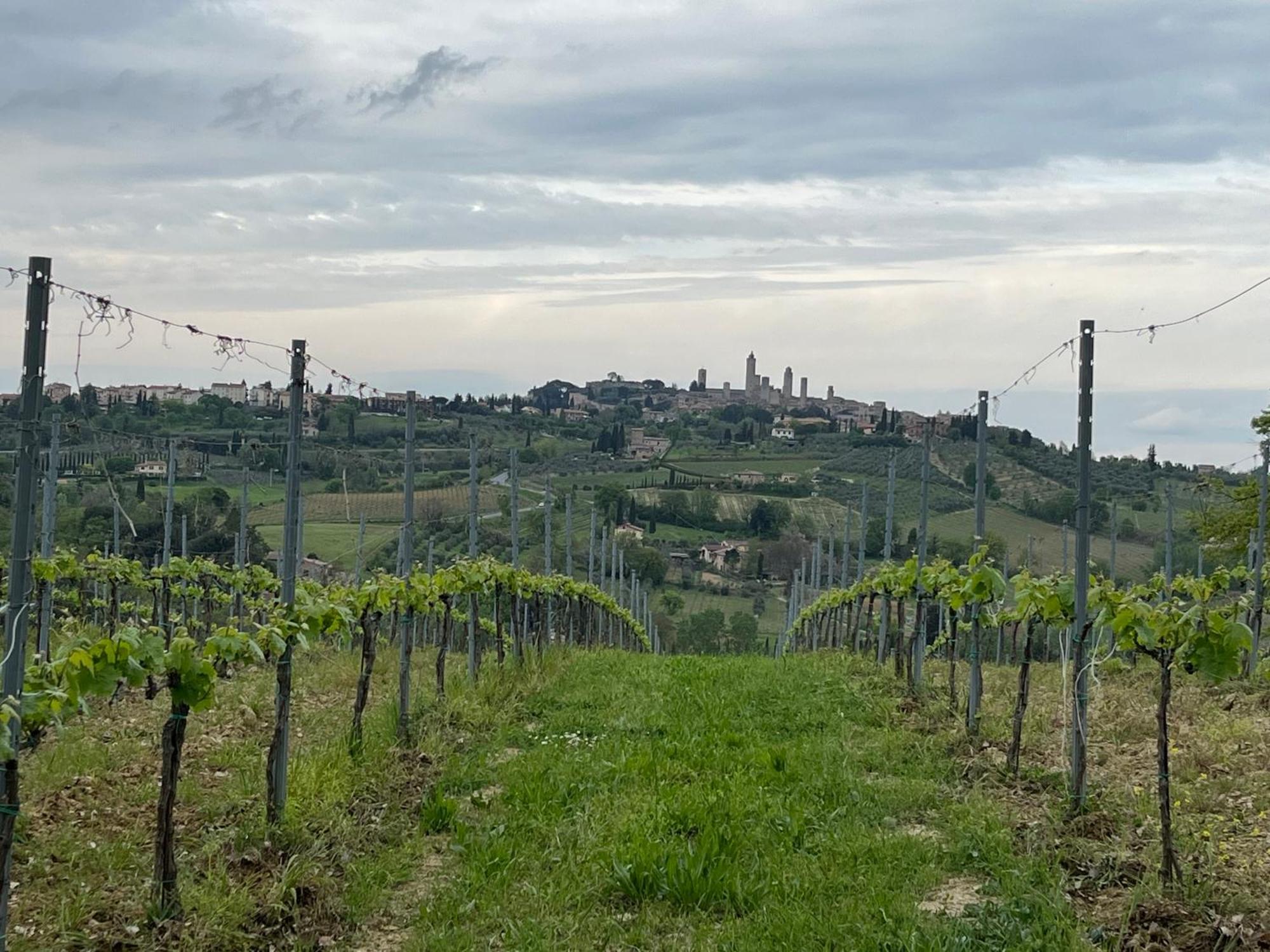 Podere Casanuova Сан Джиминяно Екстериор снимка